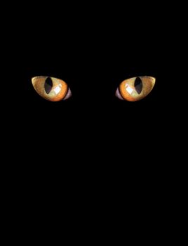 eyes of cat isolated on the black background