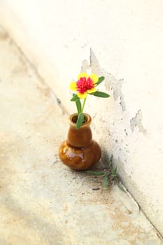 The rose mos in the ceramic vase.