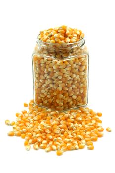 corn seeds for cooking popcorn