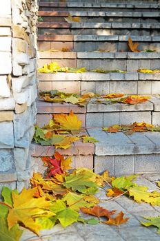 Stone steps covered with yellow autumn leaves                               