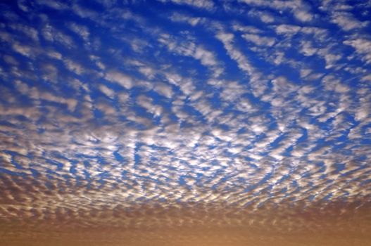 Wavy-restless (Undulatus Asperatus) clouds during sunset                 