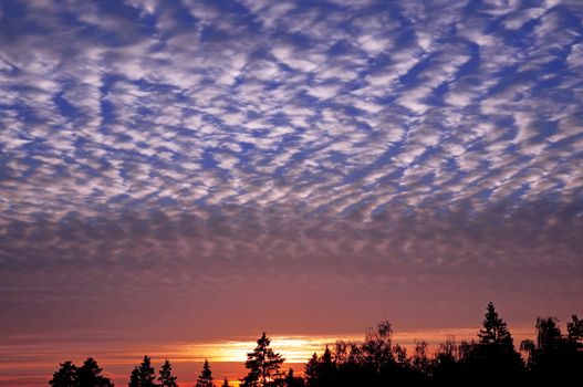 Wavy-restless (Undulatus Asperatus) clouds during sunset