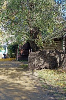 Large willow and wooden log hut in a wicker fence                               