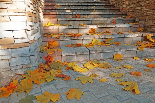 Stone steps covered with yellow autumn maple leaves