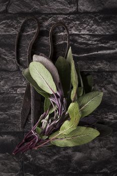 Fresh sage leaves and antique old scissors on black textured background. Culinary cooking herbs. 
