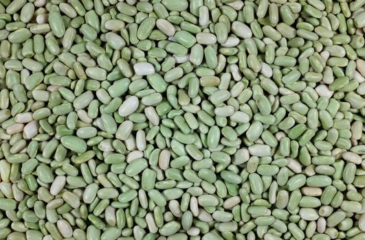 Green flageolet beans as an abstract background texture