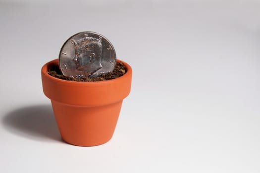 American Dollar coin planted in a clay pot and showed on a clear background