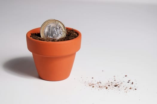 An isolated Euro coin planted in a clay terracotta pot, with debris on the clear surface