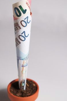 Growing paper tree made with three Euro Banknotes, planted in a clay pot. Isolated objects