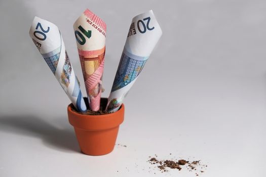 Three Euro banknotes planted in a clay pot growing out. Isolated objects with debris on the table surface