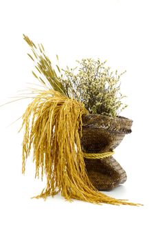 Dried flower in a vase made ������of papyrus.