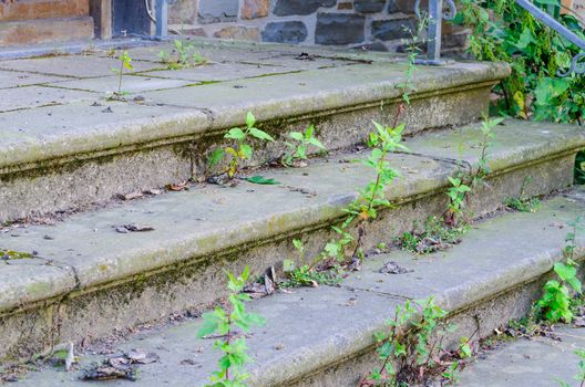 Old stone staircase, staircase overgrown with weeds and grass. 
 Nature is conquered  back.