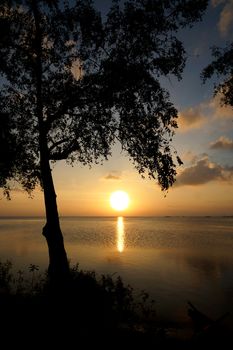 The beauty of the silhouettes sunset at lake.