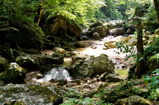 River canyon White. The south of Russia. Caucasus