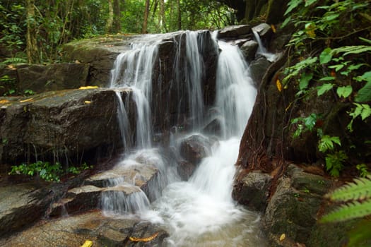 Small waterfall in the rainy season