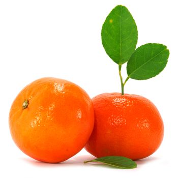 Orange and orange leaves isolated on white background.