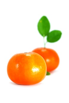 Orange and orange leaves isolated on white background.