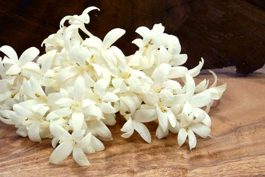 Fragrant white flowers  (Indian cork tree, scientific name: Millingtonia hortensis Linn.f) on wooden background.