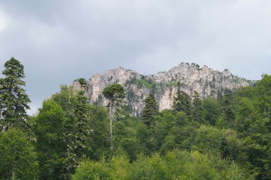 Mountains of the Caucasian natural reserve