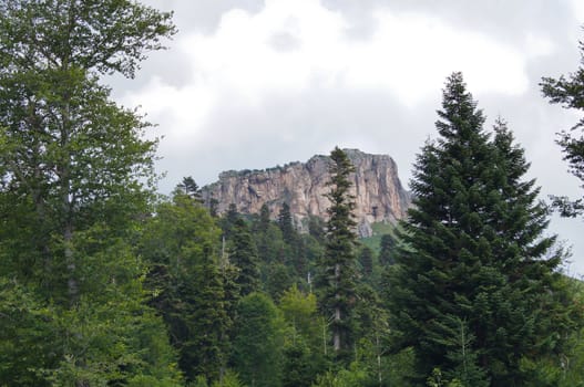 Mountains of the Caucasian natural reserve