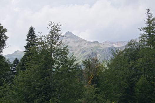 Mountains of the Caucasian natural reserve