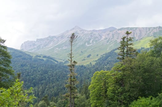 Mountains of the Caucasian natural reserve