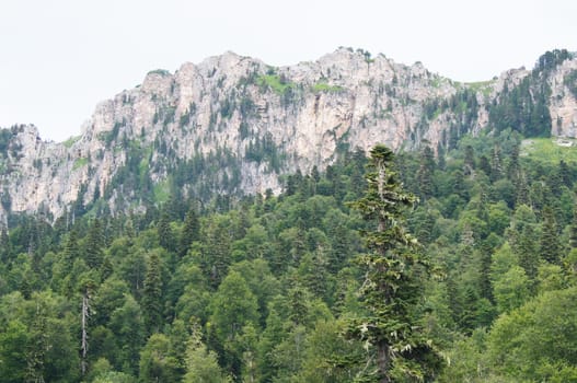 Mountains of the Caucasian natural reserve