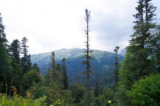 Mountains of the Caucasian natural reserve