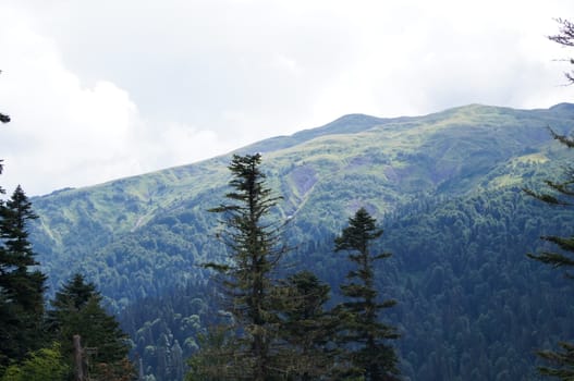 Mountains of the Caucasian natural reserve