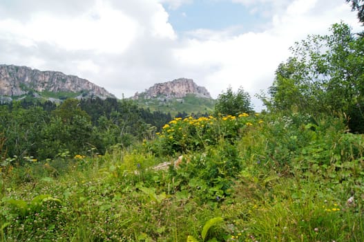 Mountains of the Caucasian natural reserve