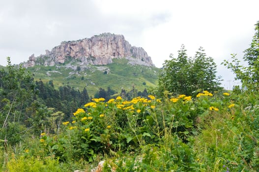 Mountains of the Caucasian natural reserve