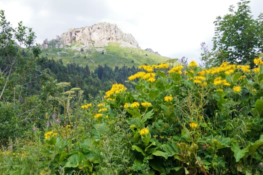 Mountains of the Caucasian natural reserve