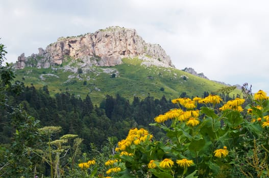 Mountains of the Caucasian natural reserve