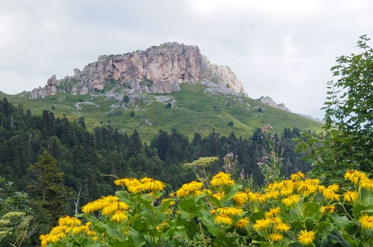 Mountains of the Caucasian natural reserve