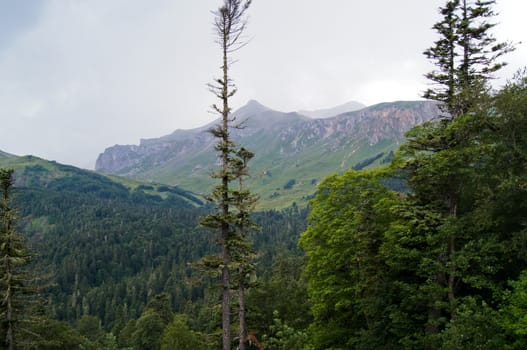 Mountains of the Caucasian natural reserve