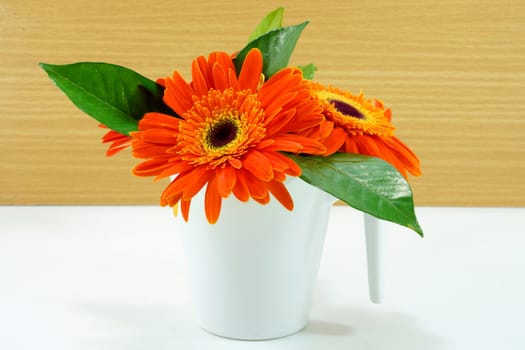 orange gerbera flower on wood background