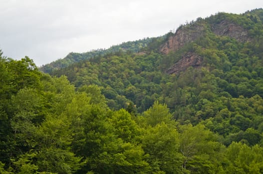 Mountains of the Caucasian natural reserve