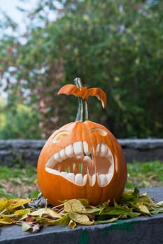 Halloween pumpkin on leaves background