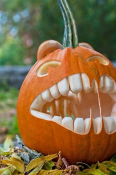 Halloween pumpkin on leaves background