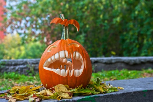 Halloween pumpkin on leaves background