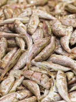 Fresh fish in a tipical italian corner market