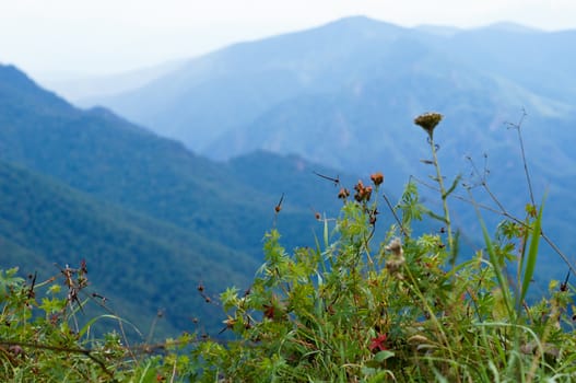 Mountains of the Caucasian natural reserve