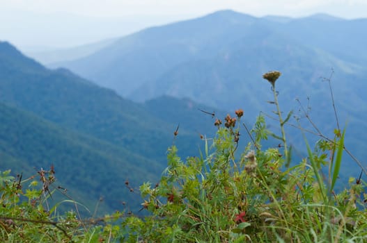 Mountains of the Caucasian natural reserve