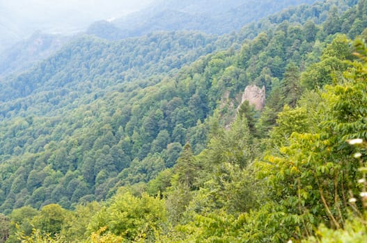 Mountains of the Caucasian natural reserve