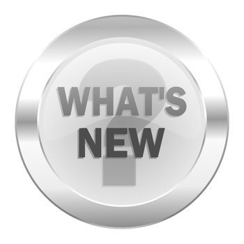 new chrome web icon isolated