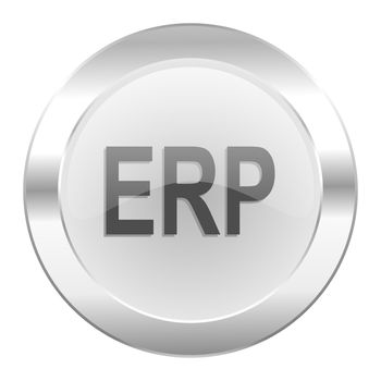 erp chrome web icon isolated
