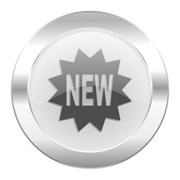 new chrome web icon isolated