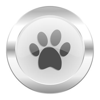 foot chrome web icon isolated