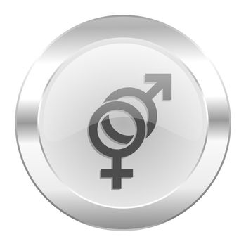 sex chrome web icon isolated