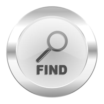 find chrome web icon isolated